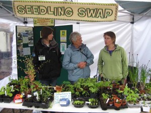 early seedling swap