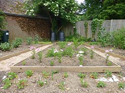 Vicarage plot June 2015 013