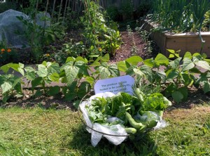 Westbrooke June 25 2014