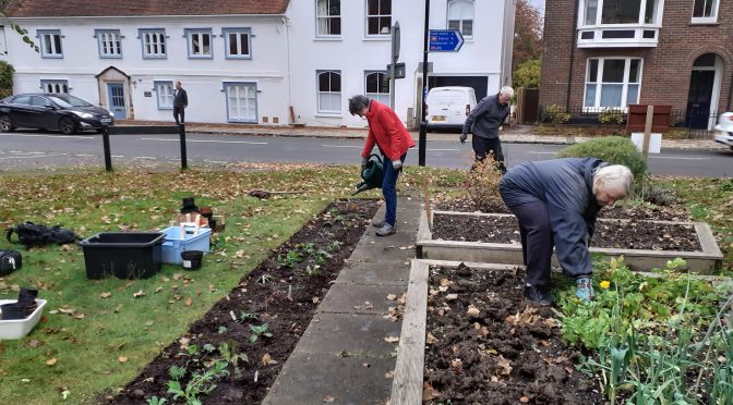 The last working party of 2019 at the Westbrooke plot