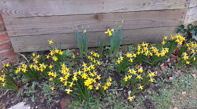 The New Growing Season begins